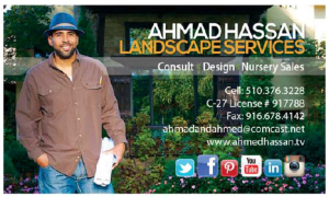 Ahmed hassan Business Card